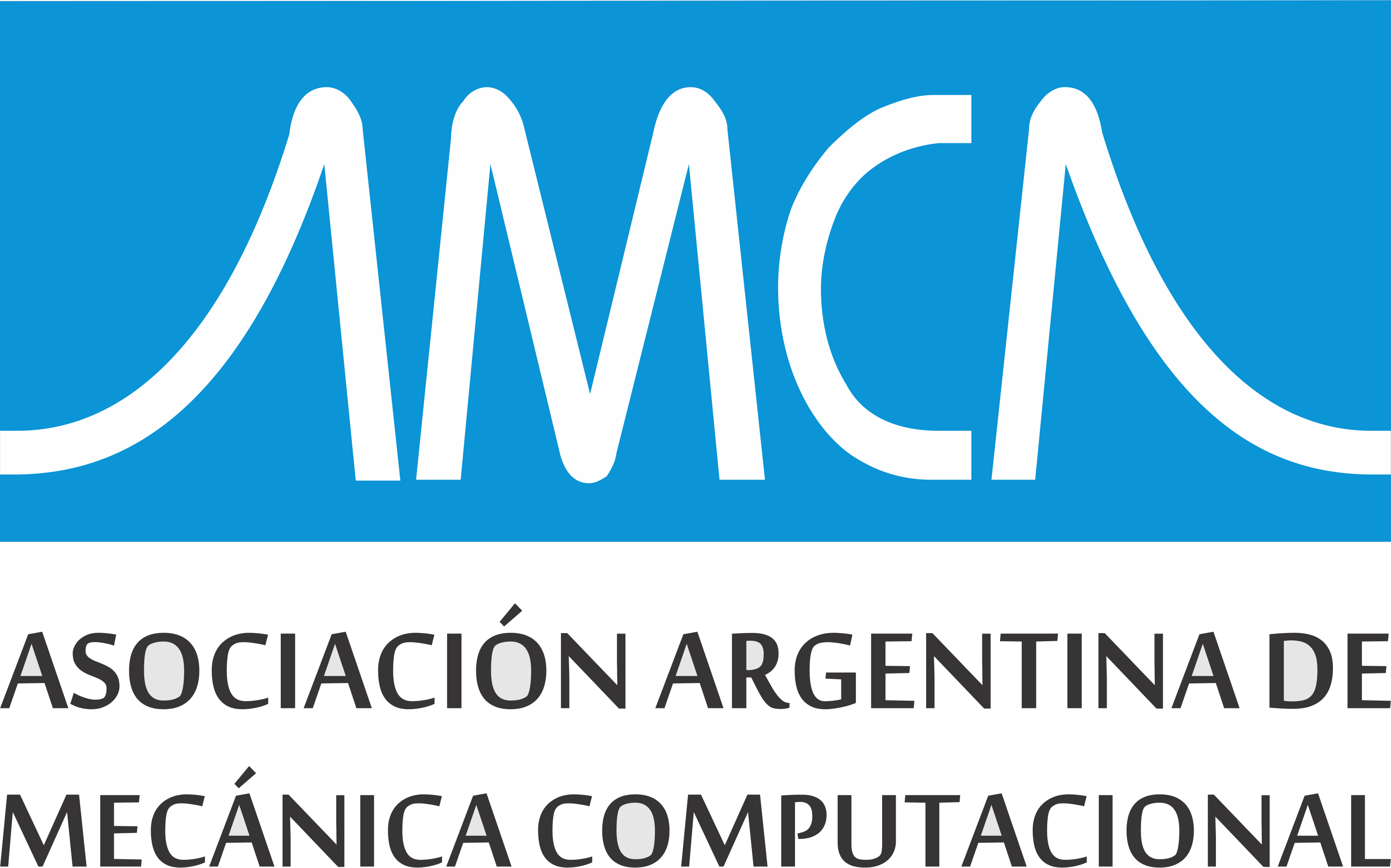 Asociación Argentina de Mecánica Computacional